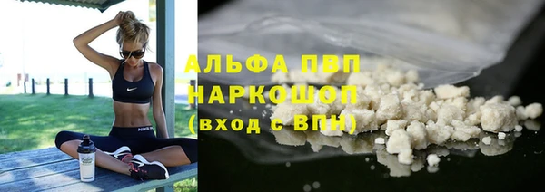 PSILOCYBIN Вяземский