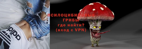 PSILOCYBIN Вяземский