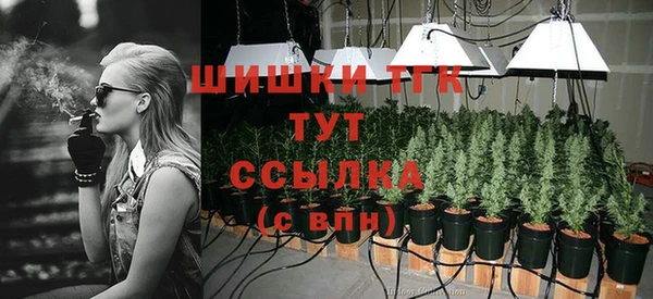 PSILOCYBIN Вяземский