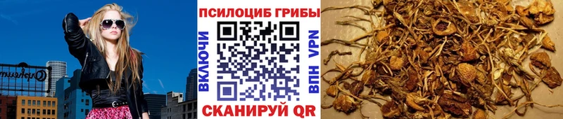 Галлюциногенные грибы Magic Shrooms  Павловский Посад 